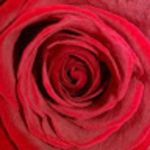 Meet your Posher, Krystyna